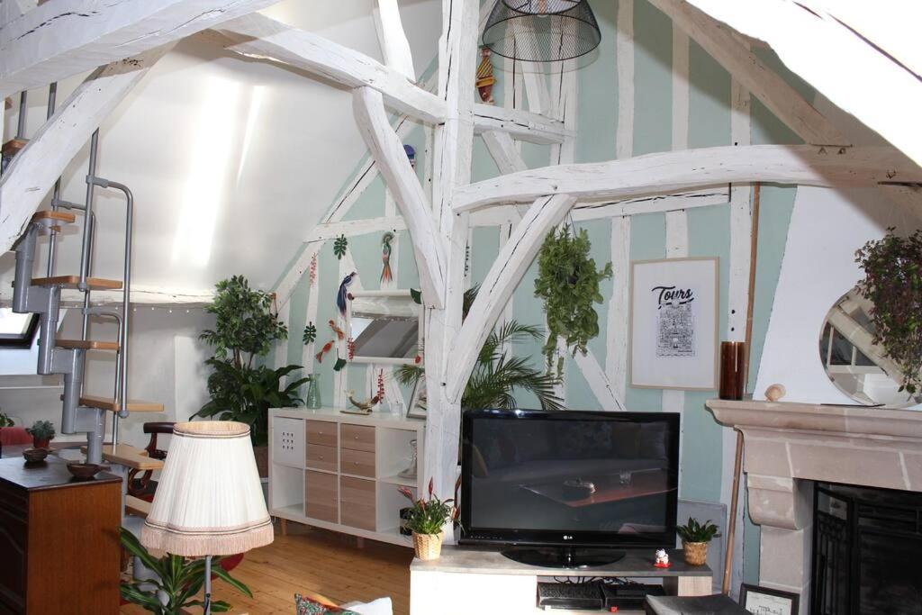 Charmant Appartement Vieux 투르 외부 사진